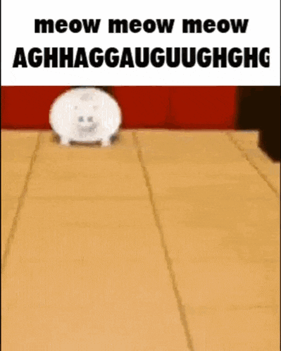 a white cat is walking on a wooden floor and says meow