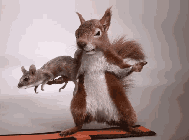 a stuffed squirrel is holding a dead mouse on its back