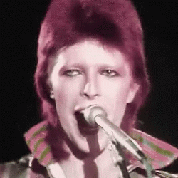 Bowie David GIF - Bowie David Whink GIFs