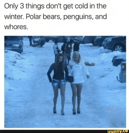 two women are walking in the snow with a caption that says only 3 things do n't get cold in the winter