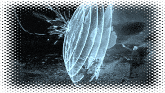 a black and white image with a circle in the center