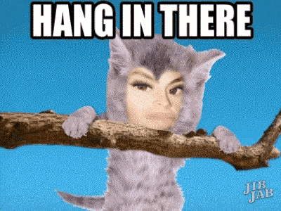 a picture of a cat with a woman 's face and the words hang in there