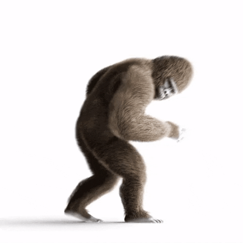 a gorilla is walking on a white background .
