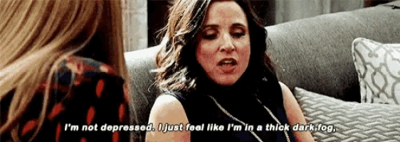 Veep Selinameyer GIF