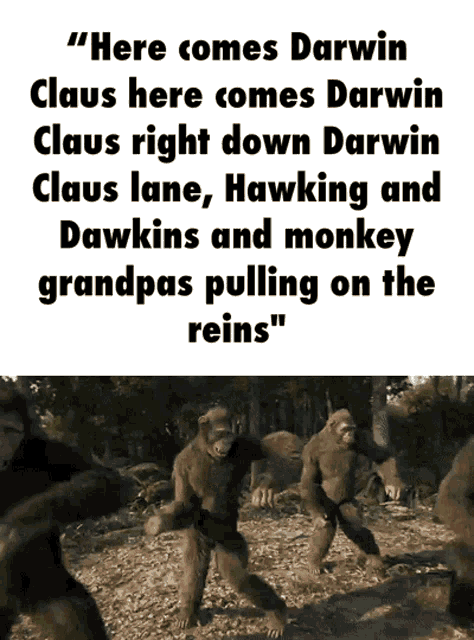 Darwin Evolution GIF - Darwin Evolution Monkey GIFs