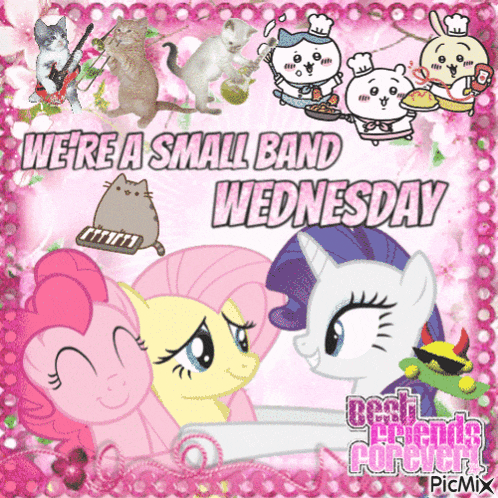 we 're a small band wednesday with ponies and cats on a pink background
