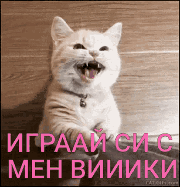 a white cat with its mouth open and the words " играй си с мен виники " in pink letters