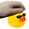 a hand is petting a yellow rubber duck with sunglasses on .