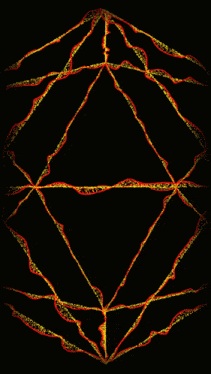 a black background with red and yellow lines in a circle