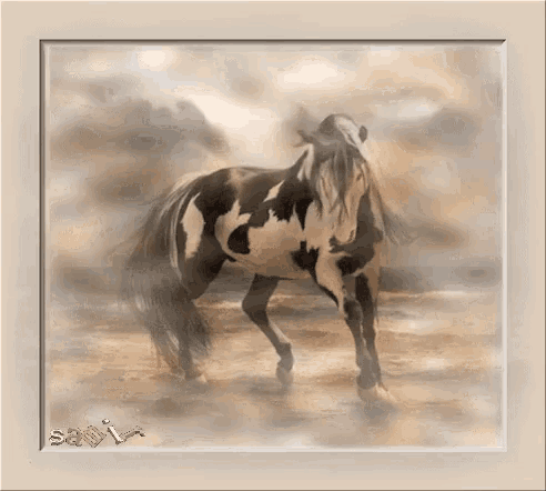 a framed picture of a horse with the name sally written on the bottom