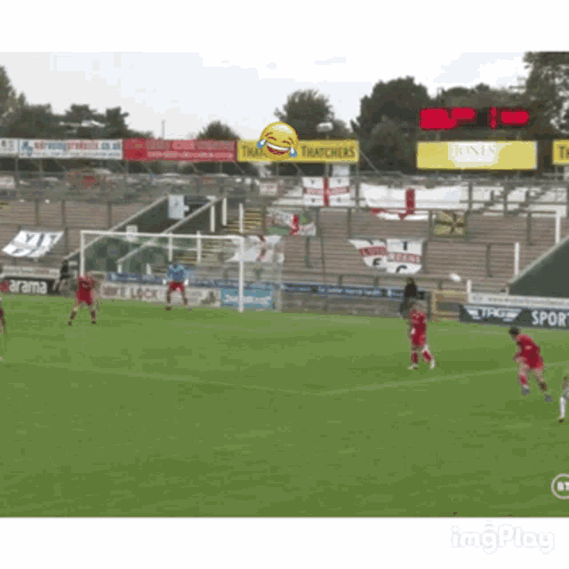 a soccer game is being played in front of a sign that says ' thatchers ' on it