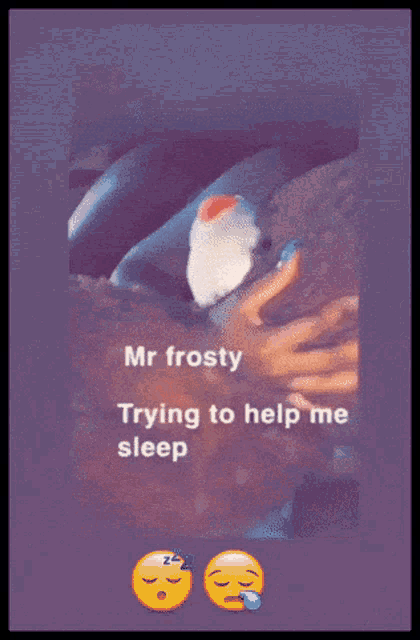 mr frost is trying to help me sleep with a picture of a bird on his head