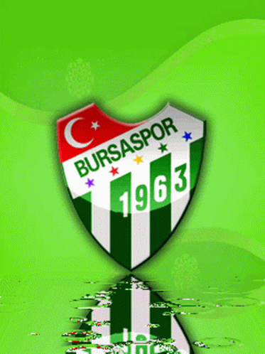 Bursaspor Texas GIF - Bursaspor Texas Timsah GIFs