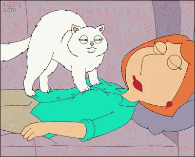 Family Guy Fondle GIF - Family Guy Fondle Boobs GIFs
