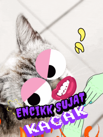 a picture of a cat with the words encikk sujat kachak written below it