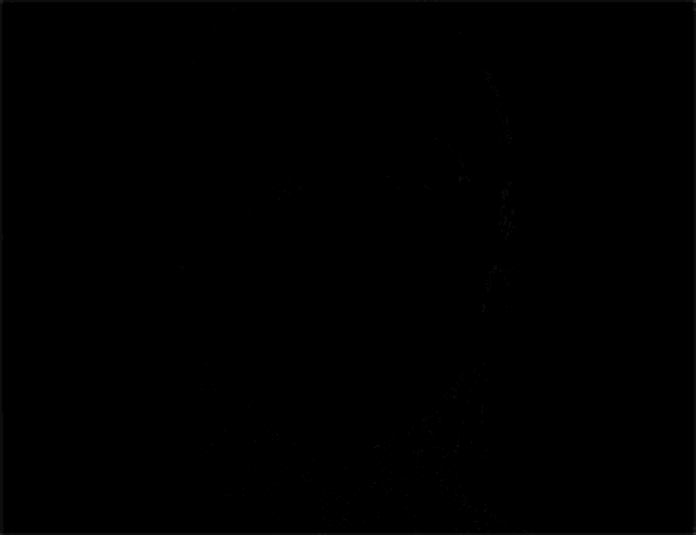 Lady Gaga Love Movement GIF