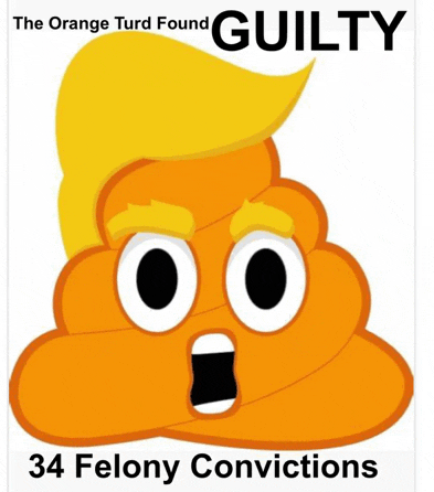 the orange turd found guilty 34 felony convictions is displayed