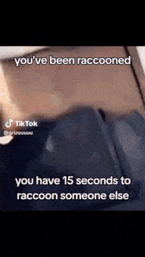 Raccooned Jiggly Raccoon GIF - Raccooned Jiggly Raccoon GIFs