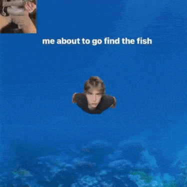 Aaron Paulsen Find The Fish GIF - Aaron Paulsen Find The Fish One Man Band GIFs