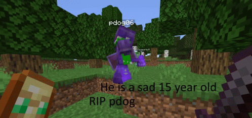 Pdog Pdog06 GIF - Pdog Pdog06 Minecraft GIFs