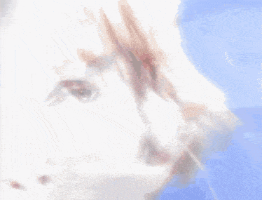 a blurry picture of a woman 's face with a blue sky in the background