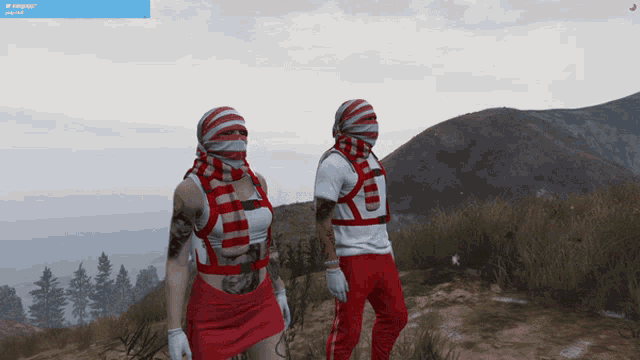 a screenshot of a video game shows a man and a woman standing in a field