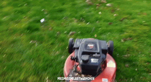 Beschäftigt Rasenmäher GIF