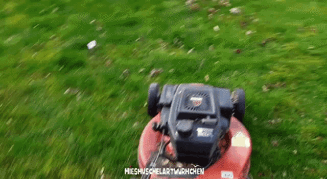 a lawn mower is cutting a lush green lawn with the words " rasenmachen digga rasenmachen "