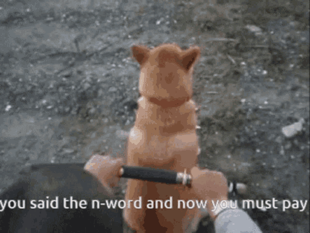 a person is holding a dog on a leash with the words " you said the n-word and now you must pay " below it