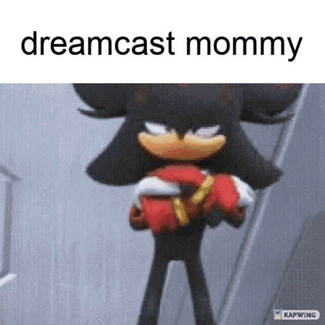 Shadow The Hedgehog Sonic Boom GIF