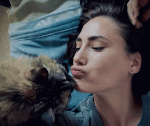 Cute Cat Kiss Woman GIF