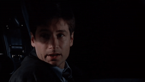 And You’ll Call Me If Anything Happens Immediately The Xfiles GIF - And You’ll Call Me If Anything Happens Immediately The Xfiles Mulder GIFs