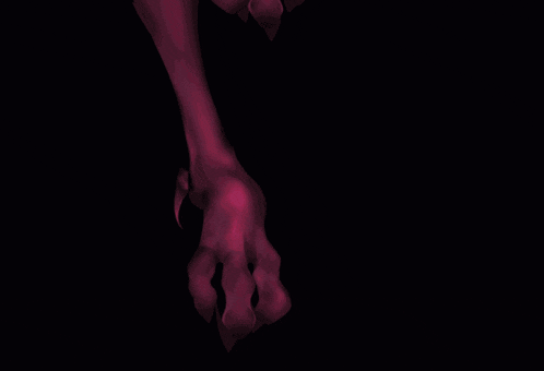 a close up of a woman 's legs and pants