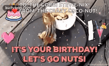a chipmunk is eating nuts on a plate with a birthday cake in the background