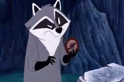Boussole GIF - Compass Pocahontas Raccoon GIFs