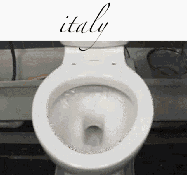 a toilet sits in front of a sign that says " italy "