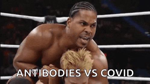 a wrestler is wrestling another wrestler in a ring with the words `` antibodies vs covid '' .