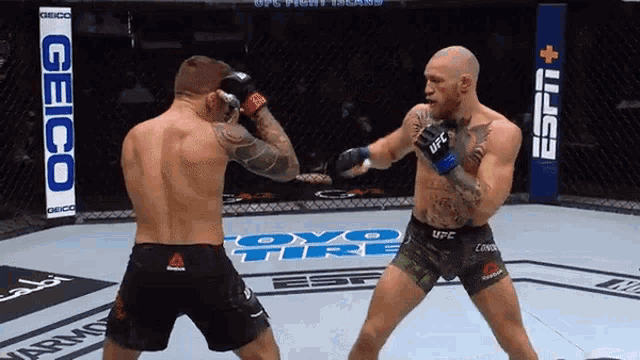 two men are fighting in a boxing ring and one of them is wearing ufc shorts