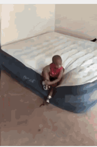 Hops Bed GIF - Hops Bed Bounce GIFs