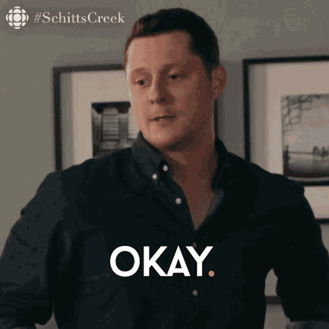 a man in a blue shirt says " okay "