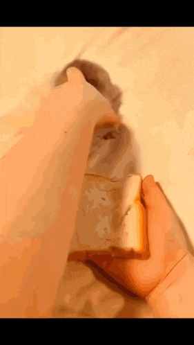 a person is holding a piece of bread in their hands