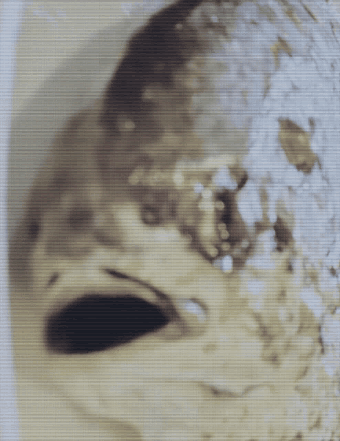a close up of a fish 's mouth with a blurred background
