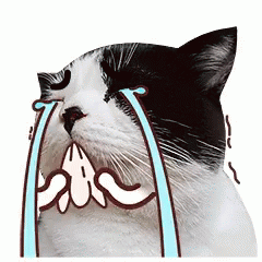 Emoji Cat GIF - Emoji Cat Cry GIFs