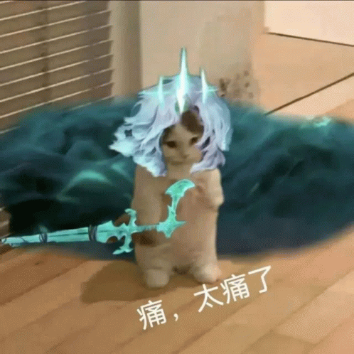 a cat holding a sword with chinese writing on the floor