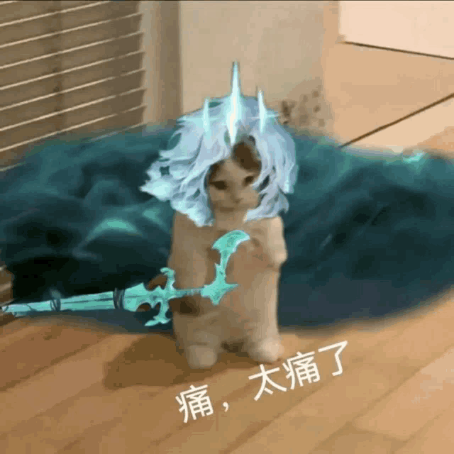 a cat holding a sword with chinese writing on the floor