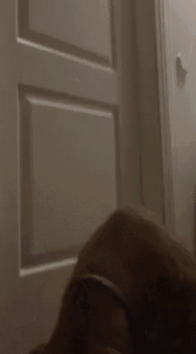 a dog is laying in front of a white door in a dark room