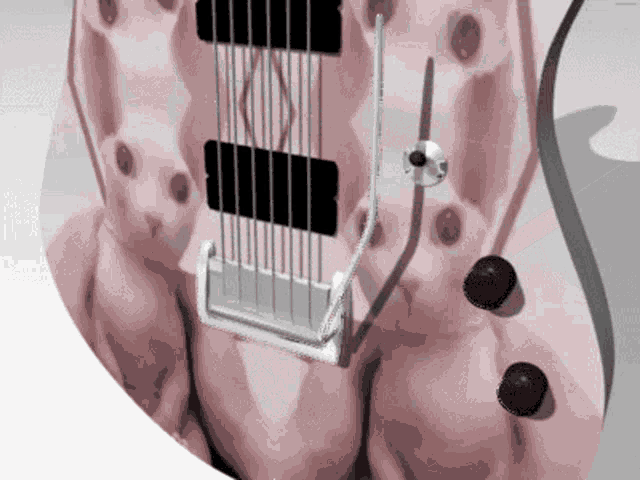 a guitar with a picture of a cat on the back