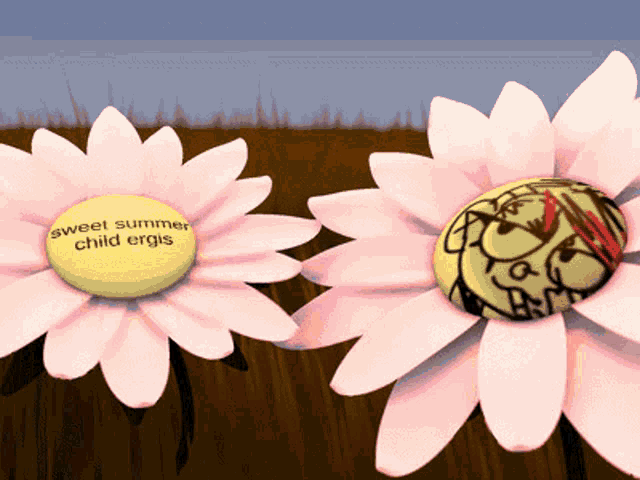 two pink daisies with the words sweet summer child ergis on the center