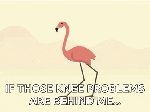 a flamingo with the words if those knee problems are behind me written on it