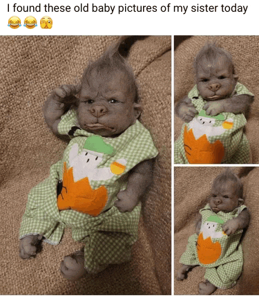 a picture of a baby gorilla with the caption " i found these old baby pictures of my sister today " on the bottom